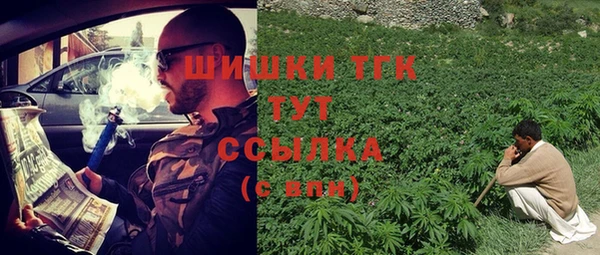 стаф Бронницы
