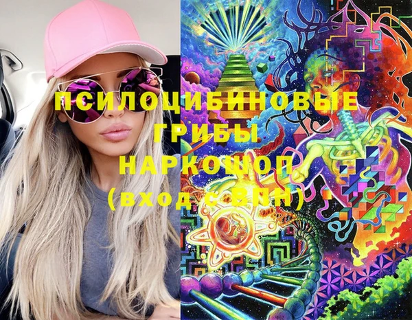 скорость Бородино
