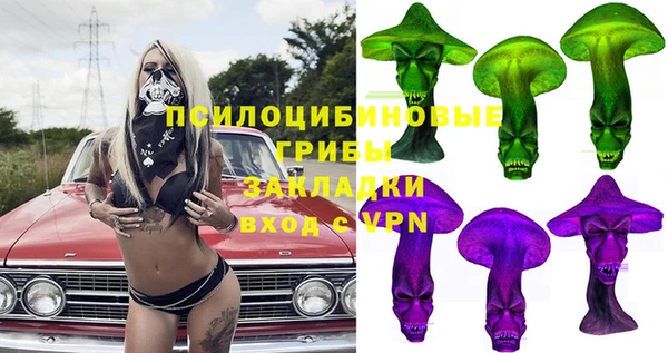 стаф Бронницы
