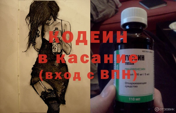 твердый Чегем