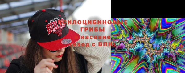 стаф Бронницы