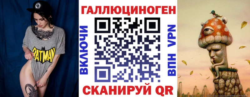 Купить закладки  Багратионовск  Псилоцибиновые грибы MAGIC MUSHROOMS 